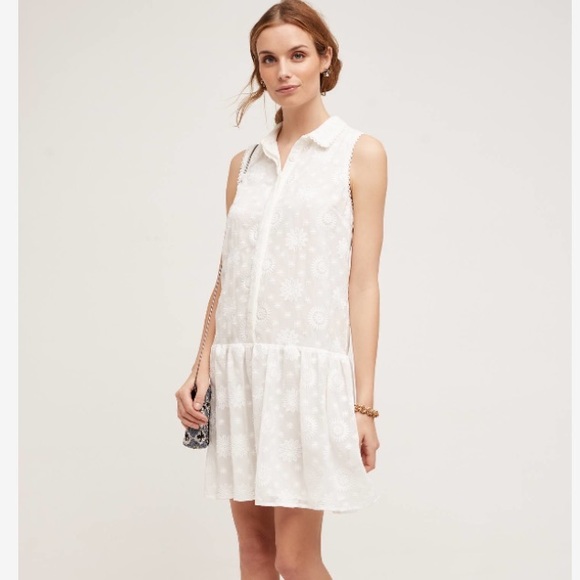 drop waist shirt dress